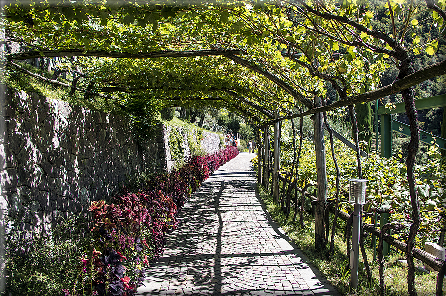 foto Giardini Trauttmansdorff - Giardini del Sole